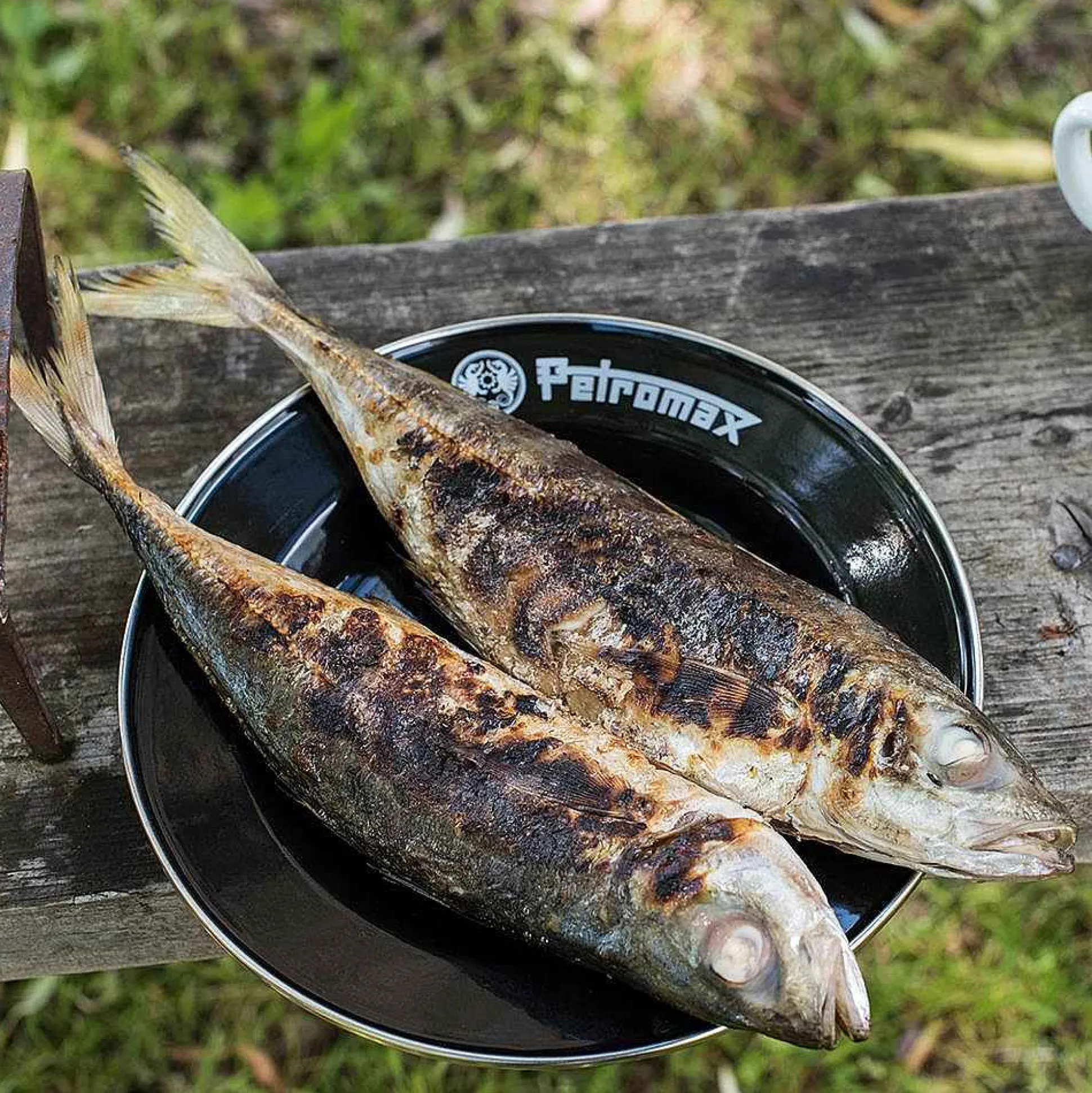 Petromax Enamel Plate Best