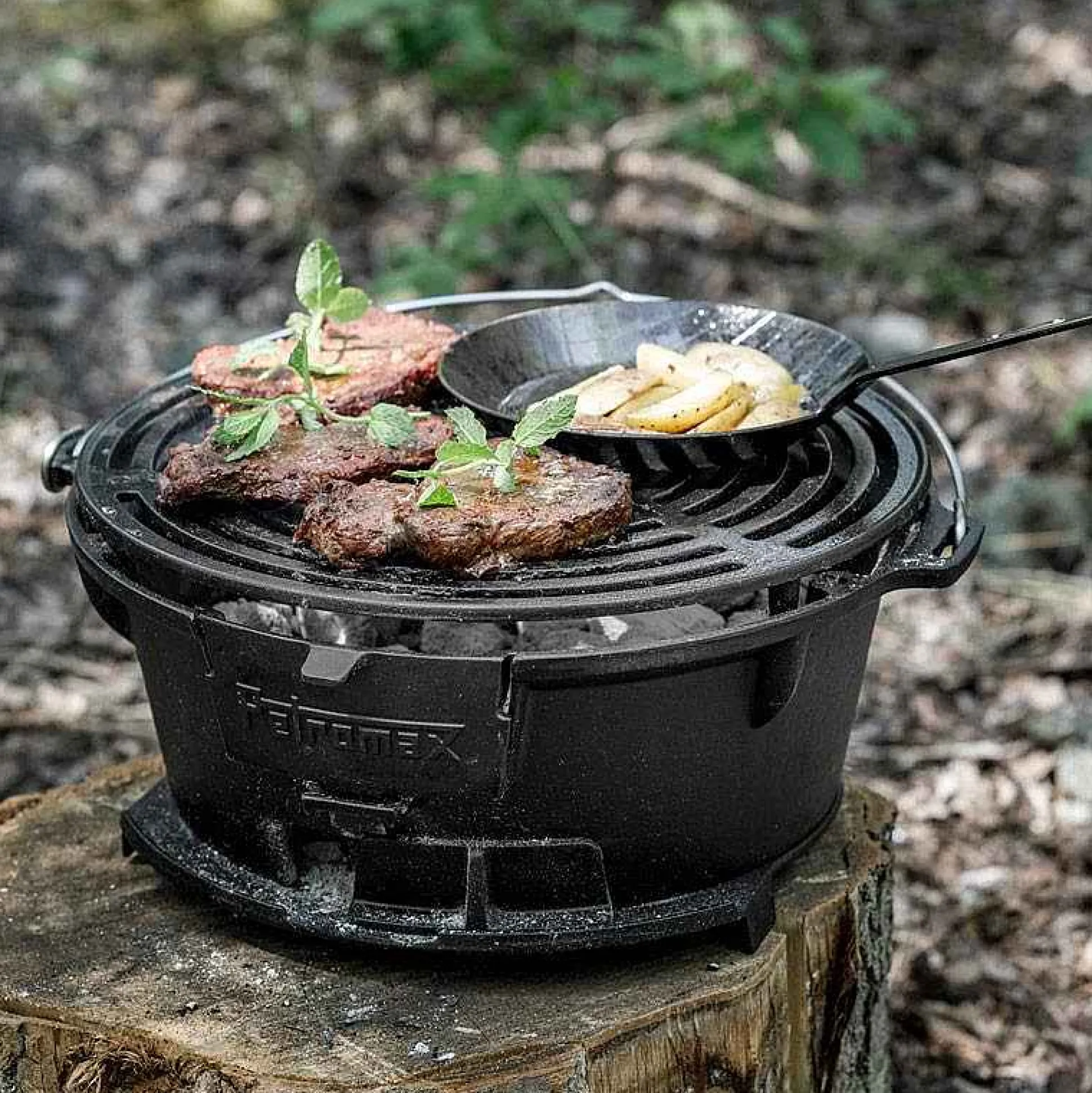 Petromax Fire Grill Tg3 New