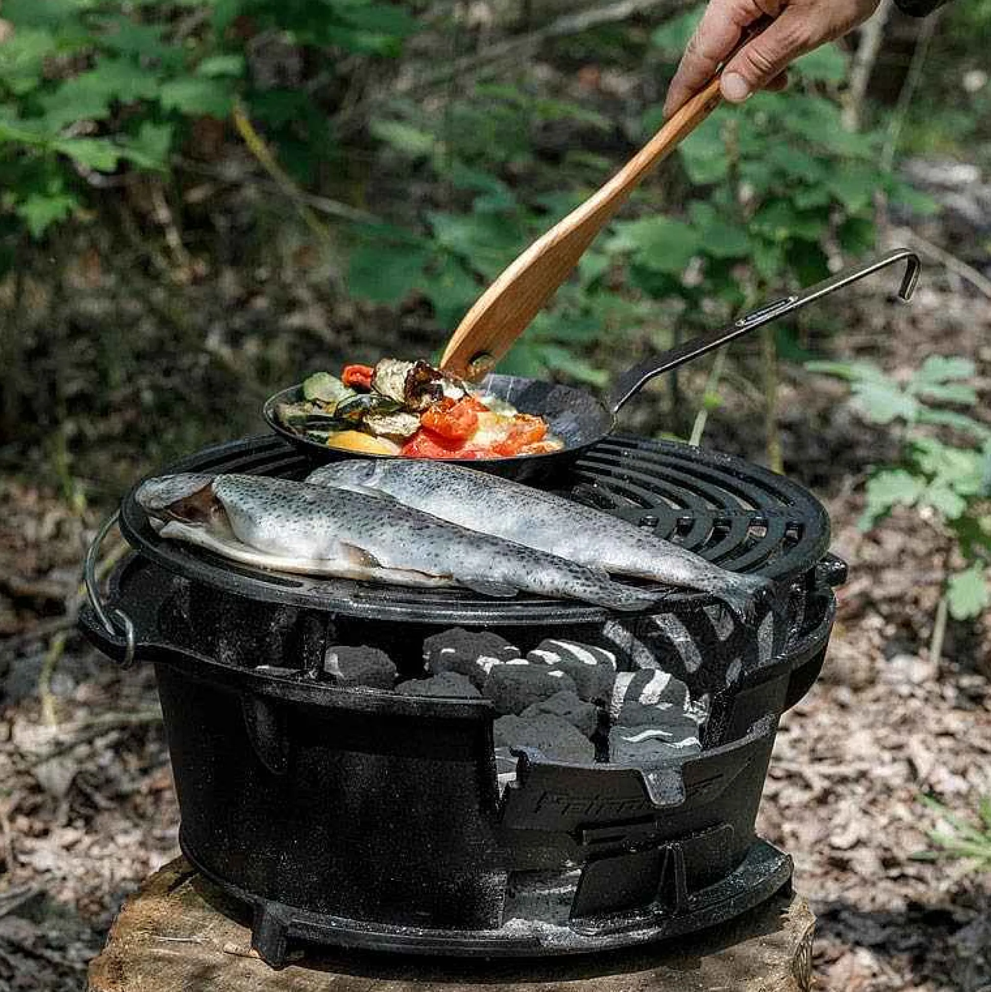 Petromax Fire Grill Tg3 New