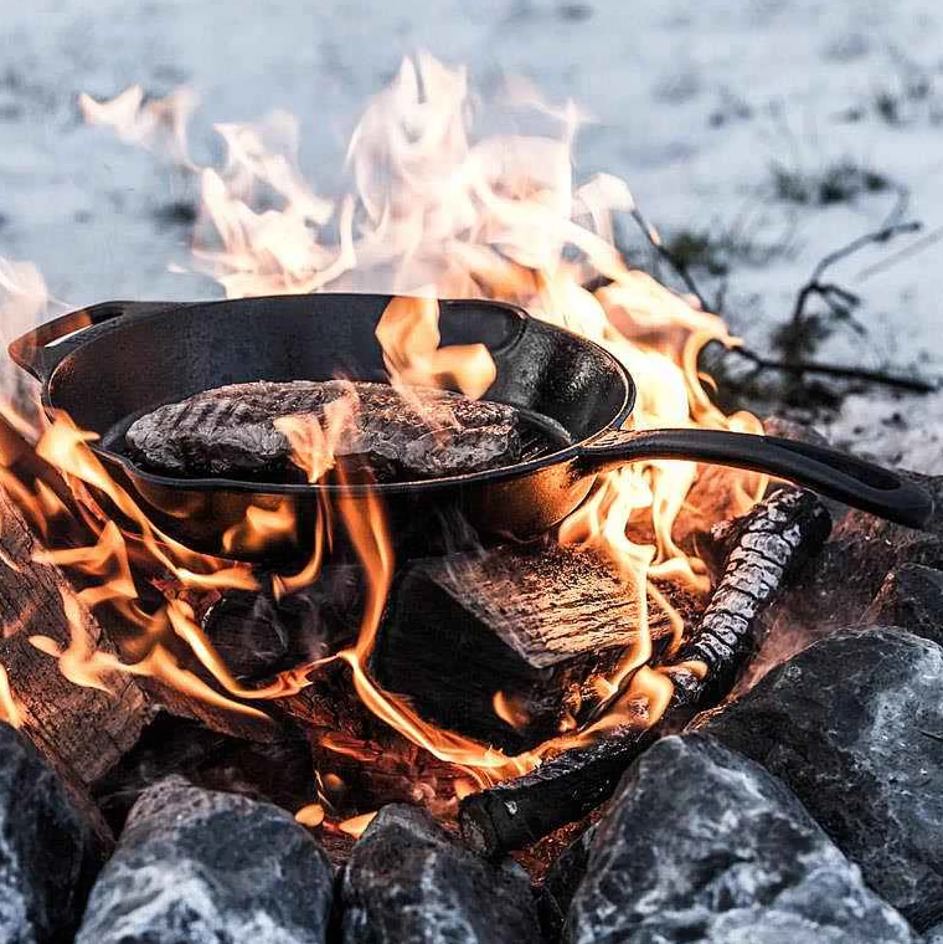 Petromax Grill Fire Pan With Handle Store